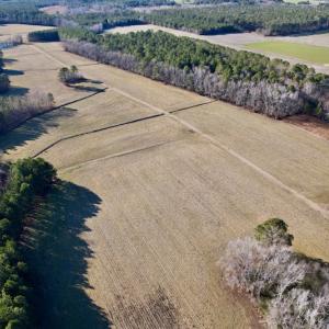 Photo #25 of SOLD property in Off Pleasant Hill Road, Rocky Mount, NC 145.0 acres