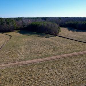Photo #29 of SOLD property in Off Pleasant Hill Road, Rocky Mount, NC 145.0 acres