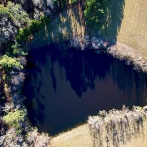 Photo #33 of SOLD property in Off Pleasant Hill Road, Rocky Mount, NC 145.0 acres