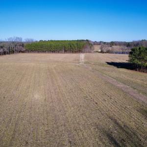 Photo #34 of SOLD property in Off Pleasant Hill Road, Rocky Mount, NC 145.0 acres