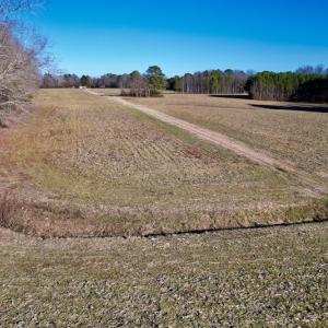 Photo #35 of SOLD property in Off Pleasant Hill Road, Rocky Mount, NC 145.0 acres