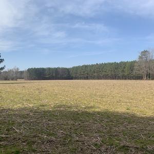 Photo #36 of SOLD property in Off Pleasant Hill Road, Rocky Mount, NC 145.0 acres