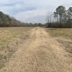 Photo #37 of SOLD property in Off Pleasant Hill Road, Rocky Mount, NC 145.0 acres