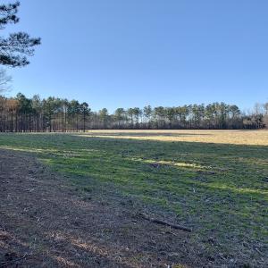 Photo #38 of SOLD property in Off Pleasant Hill Road, Rocky Mount, NC 145.0 acres