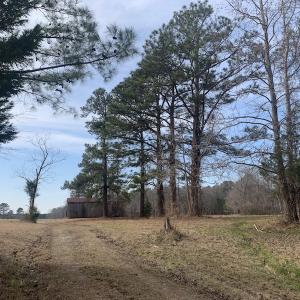Photo #39 of SOLD property in Off Pleasant Hill Road, Rocky Mount, NC 145.0 acres