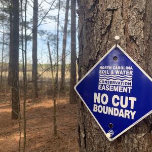Photo #41 of SOLD property in Off Pleasant Hill Road, Rocky Mount, NC 145.0 acres