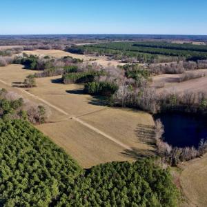 Photo #5 of SOLD property in Off Pleasant Hill Road, Rocky Mount, NC 145.0 acres
