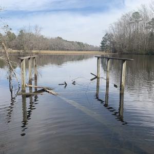 Photo #44 of SOLD property in Off Pleasant Hill Road, Rocky Mount, NC 145.0 acres