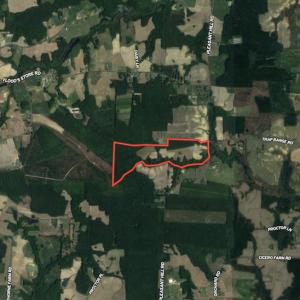 Photo #45 of SOLD property in Off Pleasant Hill Road, Rocky Mount, NC 145.0 acres