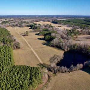 Photo #6 of SOLD property in Off Pleasant Hill Road, Rocky Mount, NC 145.0 acres