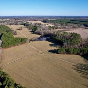 Photo #7 of SOLD property in Off Pleasant Hill Road, Rocky Mount, NC 145.0 acres