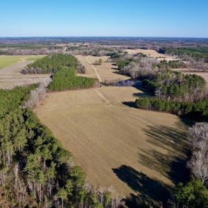 Photo #8 of SOLD property in Off Pleasant Hill Road, Rocky Mount, NC 145.0 acres
