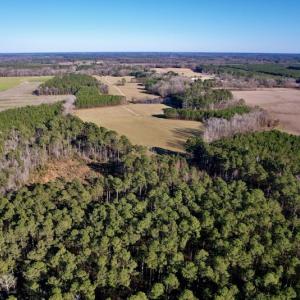 Photo #9 of SOLD property in Off Pleasant Hill Road, Rocky Mount, NC 145.0 acres
