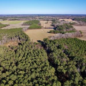 Photo #10 of SOLD property in Off Pleasant Hill Road, Rocky Mount, NC 145.0 acres