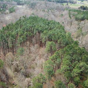 Photo #3 of SOLD property in Off Oak Tree Lane, Isle Of Wight, VA 11.0 acres