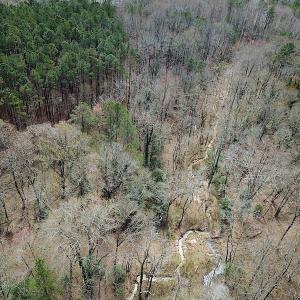 Photo #5 of SOLD property in Off Oak Tree Lane, Isle Of Wight, VA 11.0 acres