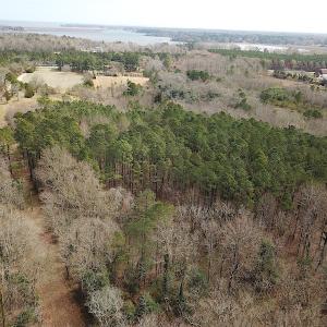 Photo #6 of SOLD property in Off Oak Tree Lane, Isle Of Wight, VA 11.0 acres