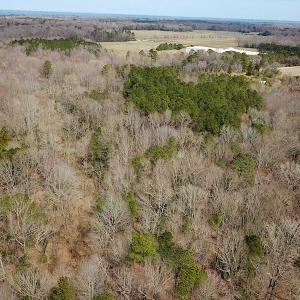 Photo #7 of SOLD property in Off Oak Tree Lane, Isle Of Wight, VA 11.0 acres