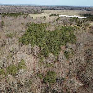 Photo #8 of SOLD property in Off Oak Tree Lane, Isle Of Wight, VA 11.0 acres