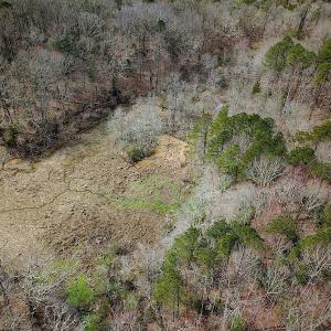Photo #9 of SOLD property in Off Oak Tree Lane, Isle Of Wight, VA 11.0 acres