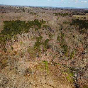 Photo #10 of SOLD property in Off Oak Tree Lane, Isle Of Wight, VA 11.0 acres