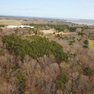 Photo #11 of SOLD property in Off Oak Tree Lane, Isle Of Wight, VA 11.0 acres