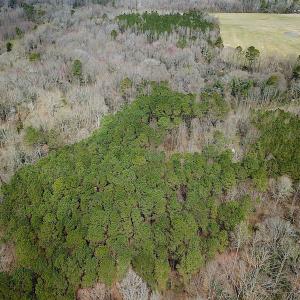 Photo #12 of SOLD property in Off Oak Tree Lane, Isle Of Wight, VA 11.0 acres