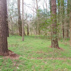 Photo #13 of SOLD property in Off Oak Tree Lane, Isle Of Wight, VA 11.0 acres