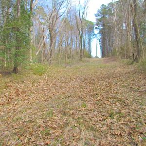 Photo #18 of SOLD property in Off Oak Tree Lane, Isle Of Wight, VA 11.0 acres