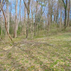 Photo #19 of SOLD property in Off Oak Tree Lane, Isle Of Wight, VA 11.0 acres