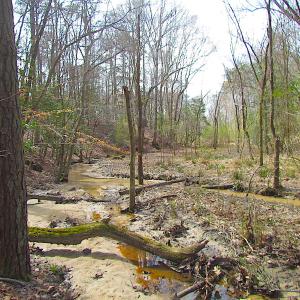 Photo #25 of SOLD property in Off Oak Tree Lane, Isle Of Wight, VA 11.0 acres