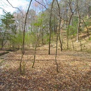 Photo #26 of SOLD property in Off Oak Tree Lane, Isle Of Wight, VA 11.0 acres