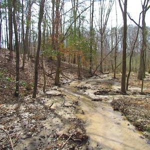 Photo #27 of SOLD property in Off Oak Tree Lane, Isle Of Wight, VA 11.0 acres