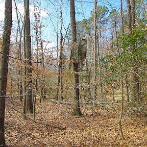 Photo #28 of SOLD property in Off Oak Tree Lane, Isle Of Wight, VA 11.0 acres