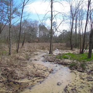 Photo #30 of SOLD property in Off Oak Tree Lane, Isle Of Wight, VA 11.0 acres