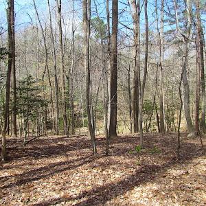 Photo #37 of SOLD property in Off Oak Tree Lane, Isle Of Wight, VA 11.0 acres