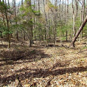 Photo #40 of SOLD property in Off Oak Tree Lane, Isle Of Wight, VA 11.0 acres