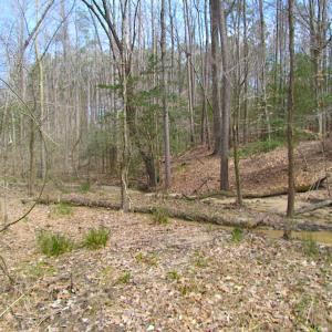 Photo #1 of SOLD property in Off Oak Tree Lane, Isle Of Wight, VA 11.0 acres