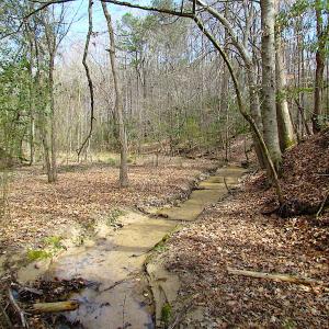 Photo #2 of SOLD property in Off Oak Tree Lane, Isle Of Wight, VA 11.0 acres