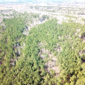 Photo #6 of 1504 Whitmore Road, McKenney, VA 56.0 acres