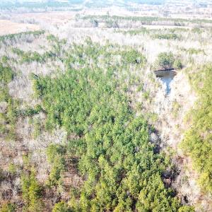 Photo #7 of 1504 Whitmore Road, McKenney, VA 56.0 acres