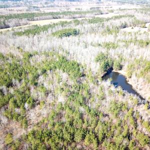 Photo #8 of 1504 Whitmore Road, McKenney, VA 56.0 acres