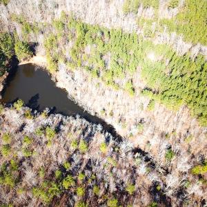 Photo #9 of 1504 Whitmore Road, McKenney, VA 56.0 acres