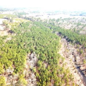 Photo #11 of 1504 Whitmore Road, McKenney, VA 56.0 acres