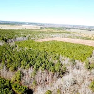 Photo #2 of SOLD property in Off Old Myrtle Road, Carrsville, VA 39.0 acres