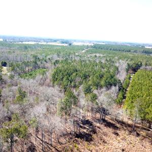 Photo #5 of SOLD property in Off Old Myrtle Road, Carrsville, VA 39.0 acres