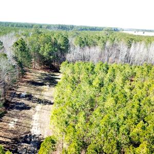 Photo #6 of SOLD property in Off Old Myrtle Road, Carrsville, VA 39.0 acres
