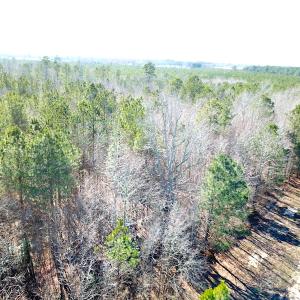 Photo #7 of SOLD property in Off Old Myrtle Road, Carrsville, VA 39.0 acres