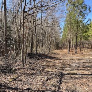 Photo #12 of SOLD property in Off Old Myrtle Road, Carrsville, VA 39.0 acres