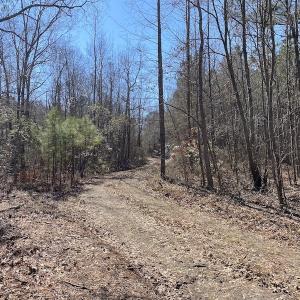 Photo #13 of SOLD property in Off Old Myrtle Road, Carrsville, VA 39.0 acres